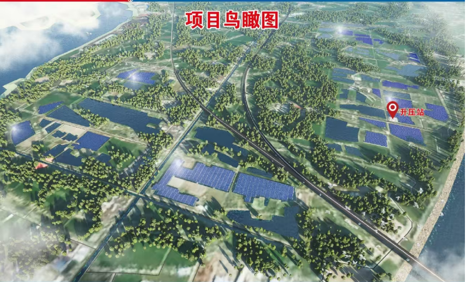 鳥瞰.png
